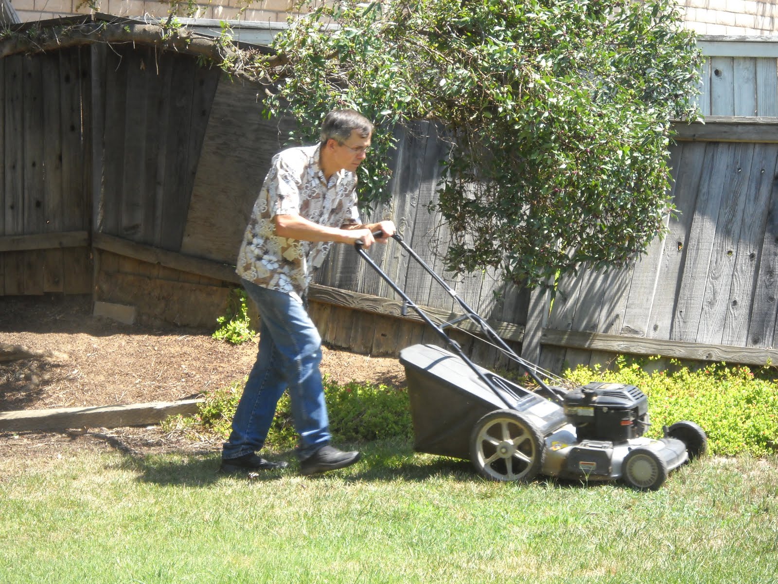 Today's Project Mow, mow, mow your lawn
