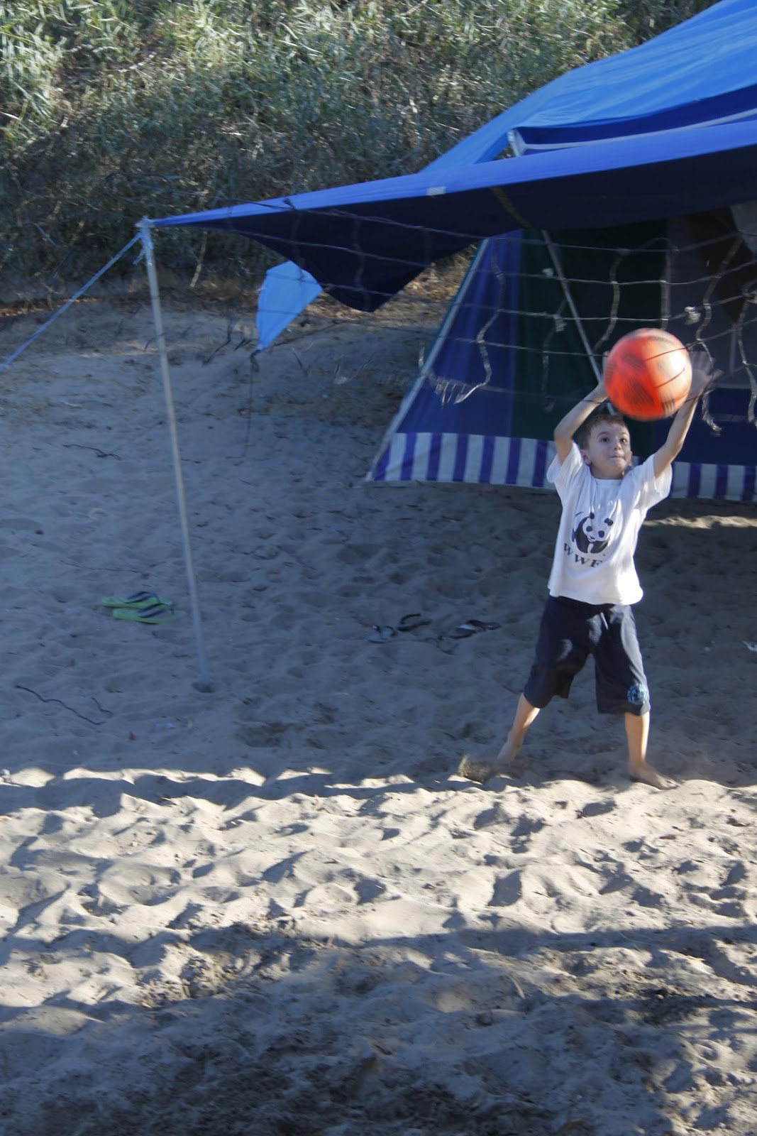 Çayırdaki Yağmur Damlası Akyatan�ın Ağustos konukları