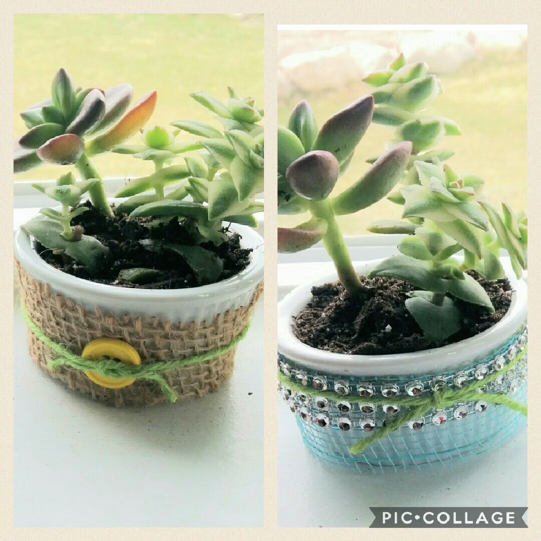 SpringThemed Ramekins Decorated from Dollar Tree