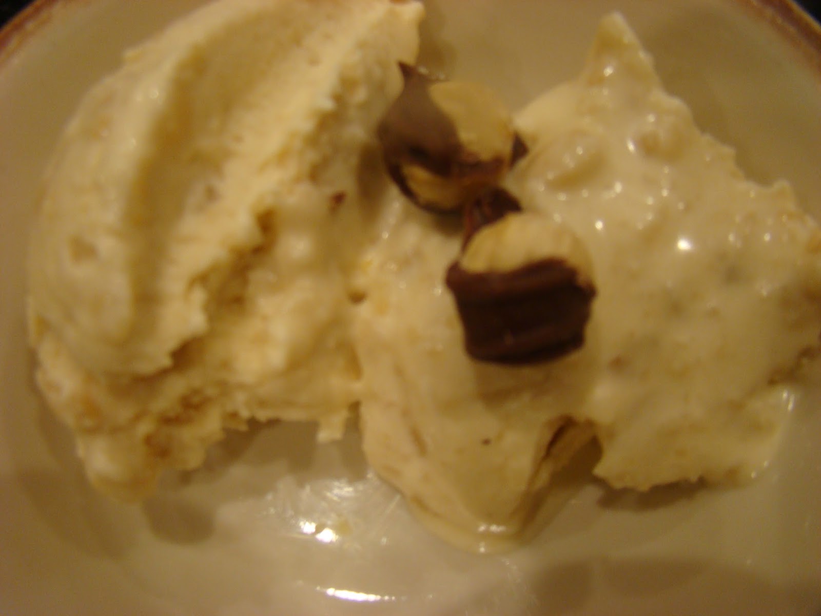 My Favorite Recipes Collection Hawaiian Macadamia Nut Vanilla Ice Cream