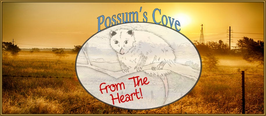 Possum's Cove