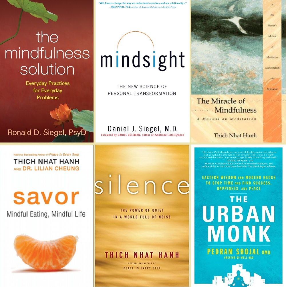 Books on mindfulness and meditation PDF