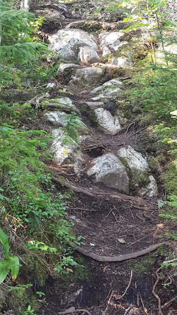 Sentier vers le mont des Morios