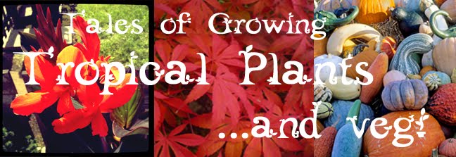 Tales of Growing Tropical Plants