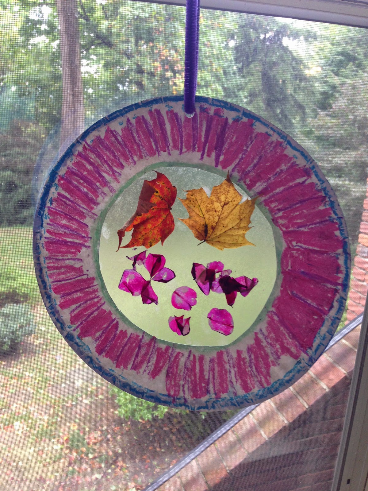 Busy and the Beans Fall Sun Catchers