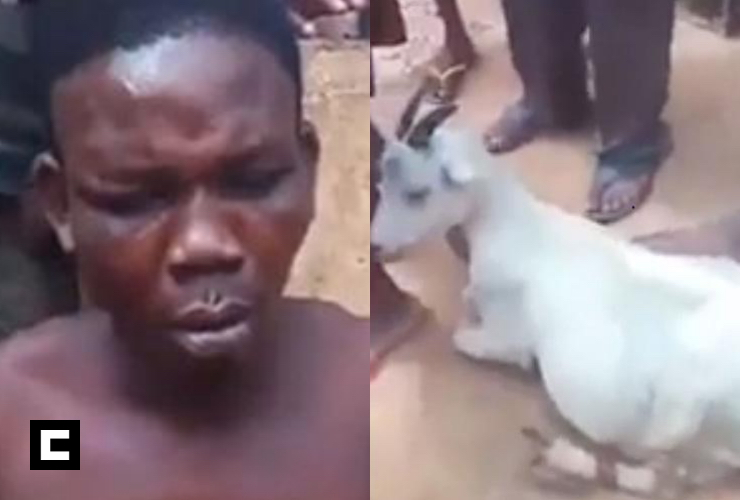 Le cantan 15 años por violar a una chiva embarazada en África Reuben Mwamba