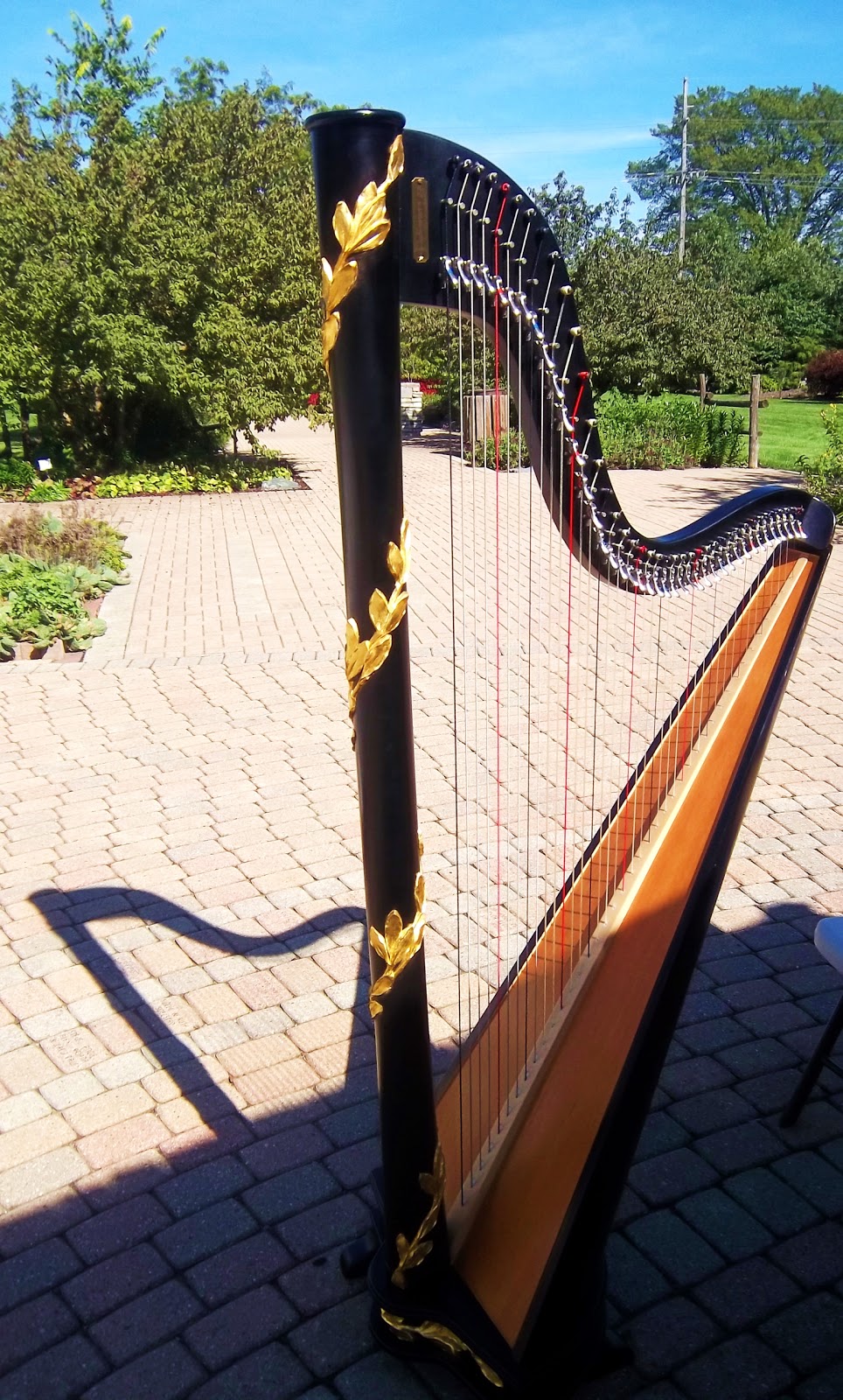 The Classic Harpist Valparaiso Harpist Wedding Ceremony Music at