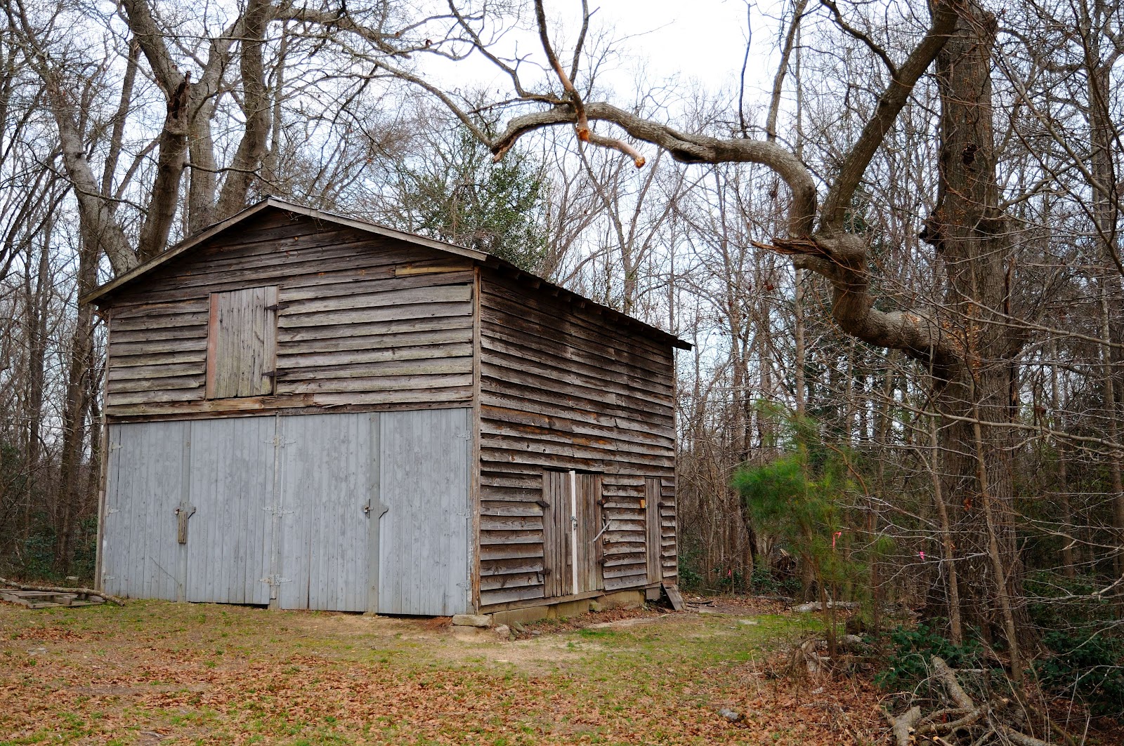RobertJ Photography Horseshoe Farm Park in Raleigh