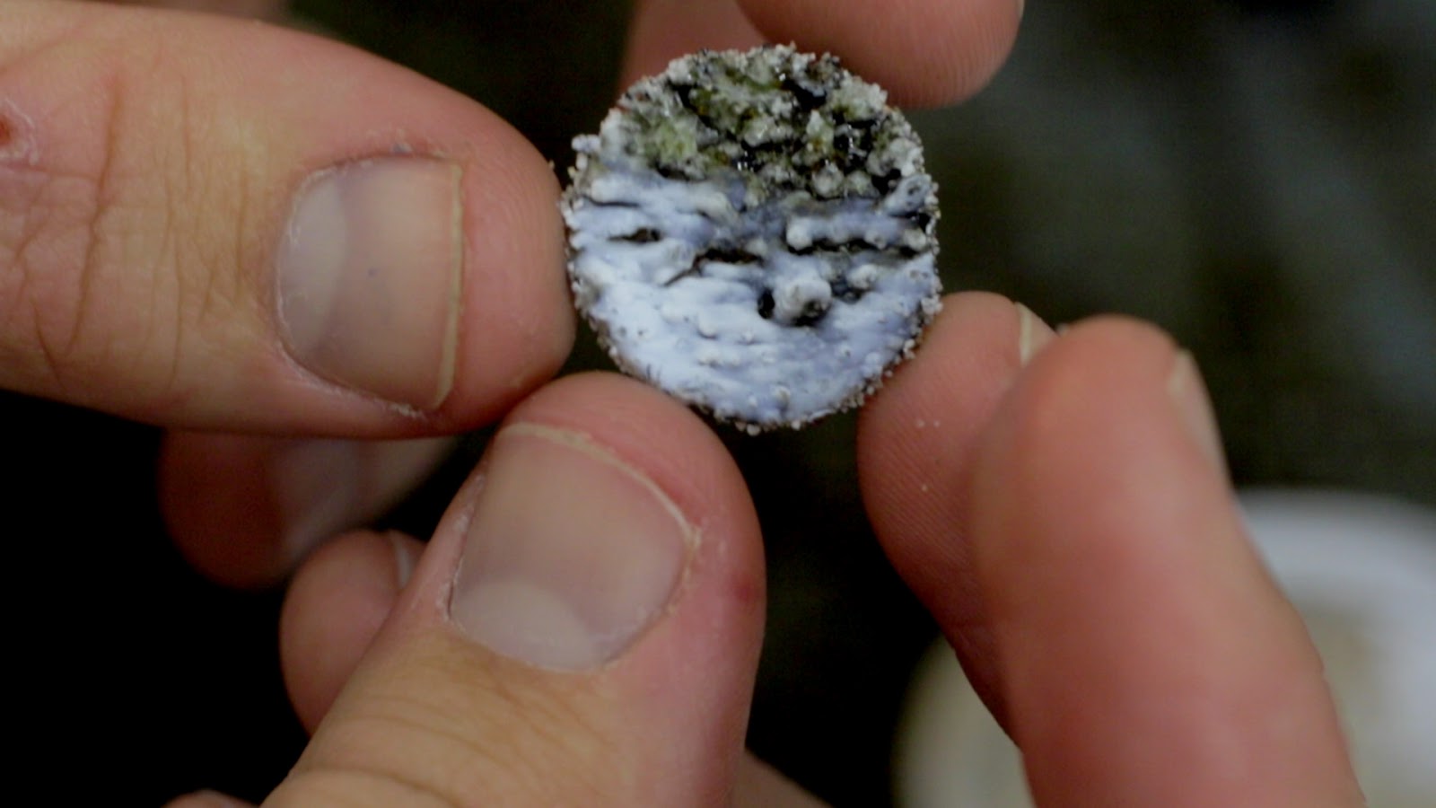 William Osman: Melting Sand with a Laser