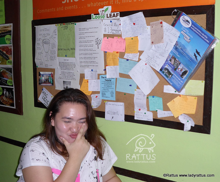 Loose Leaf Tea Shop, taiwanese milk tea in san juan, dominican college