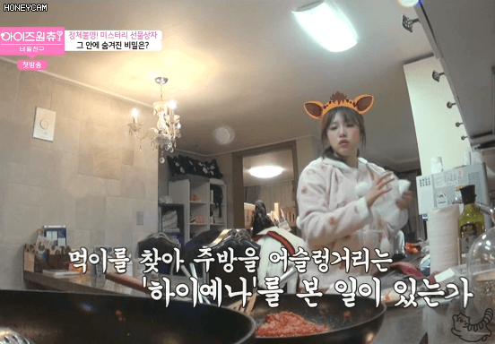 먹이를 찾아 어슬렁거리는 하이예나