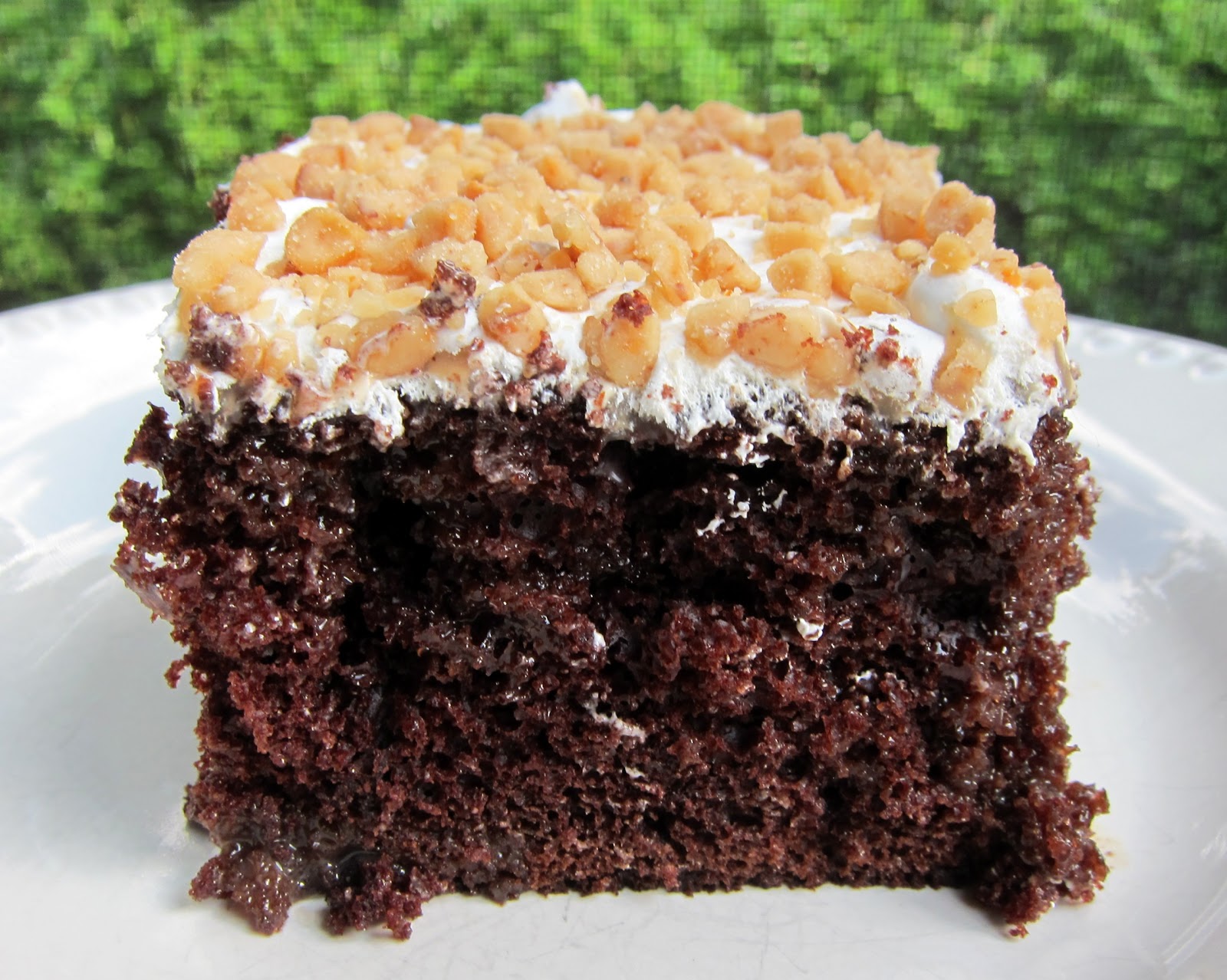 Chocolate Toffee Cake Plain Chicken®