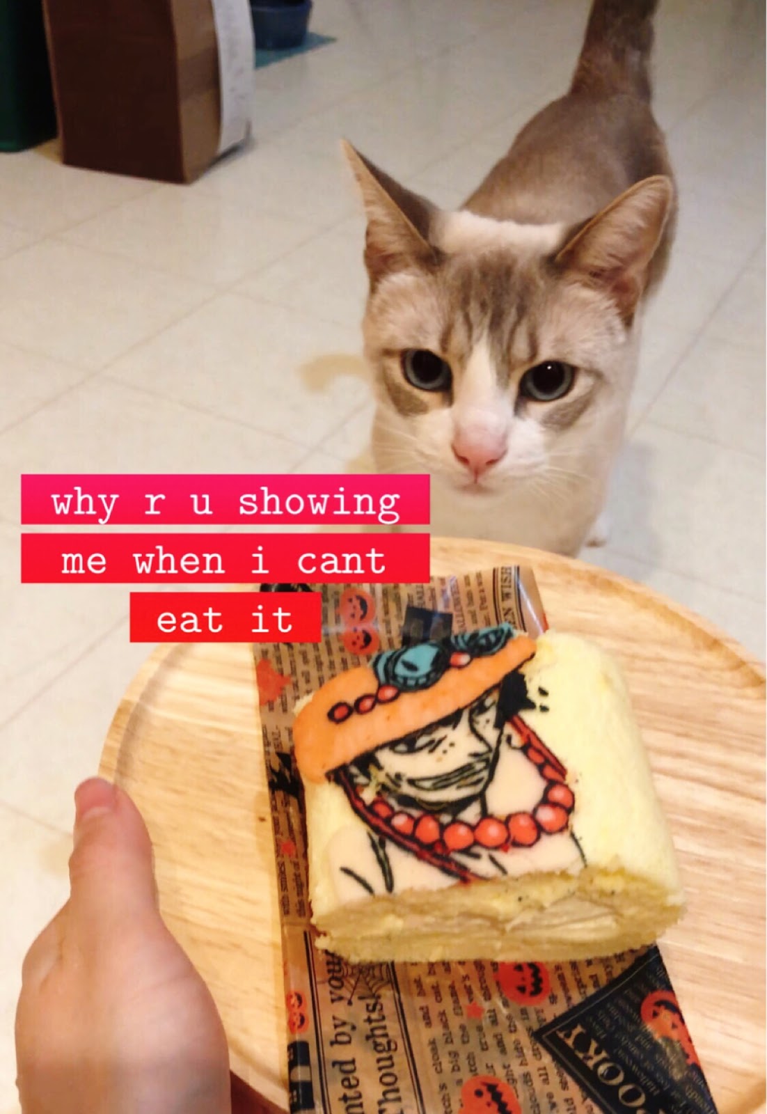 Cat Lady Next Door Uni Pics Overload Lol