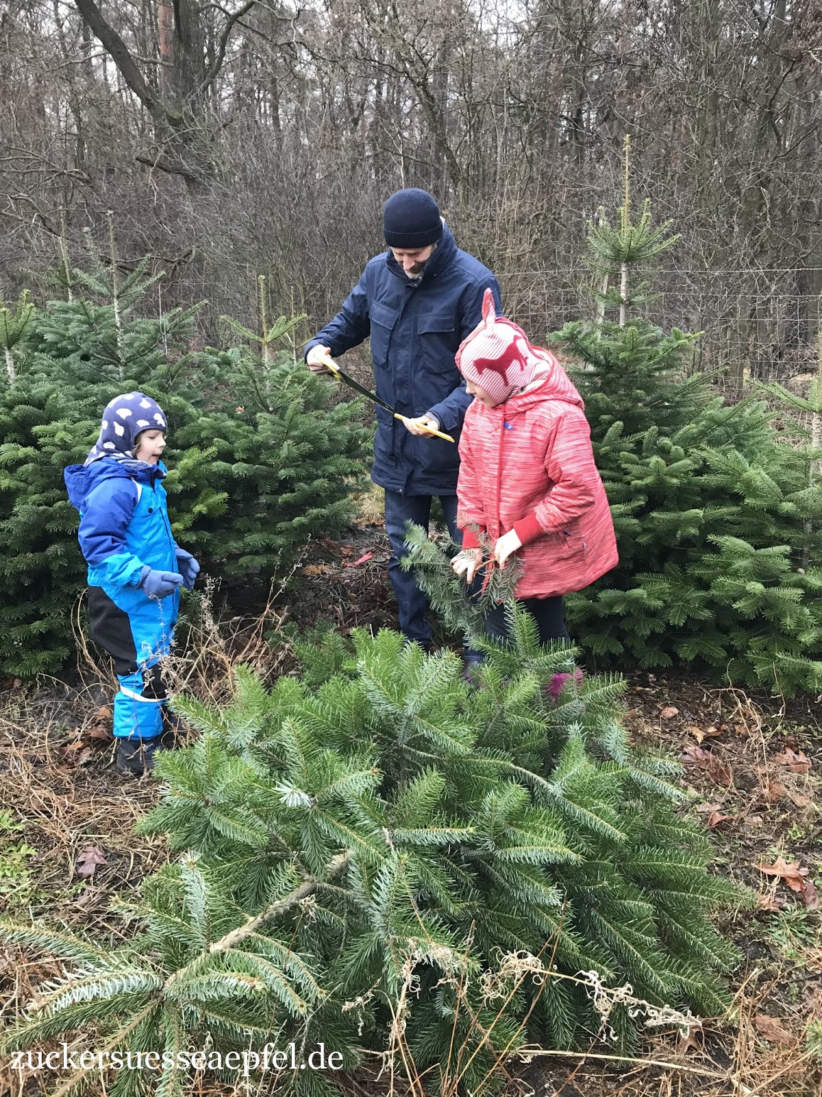 Osa Hilft Schlaue Geschenke Zu Weihnachten