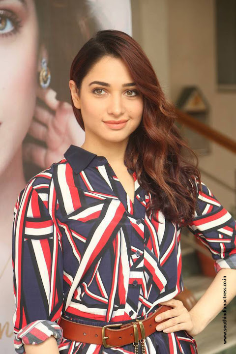 Tamannaah at Queen Movie Launch