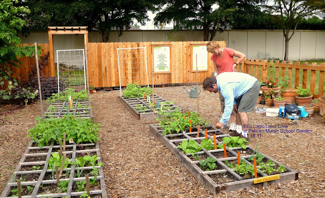 The Best Organic Gardening Tips - 101 Gardening