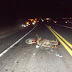 Motociclista morre em acidente na BR 324 saída Riachão do Jacuípe / Tanquinho