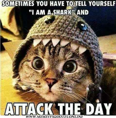 attack the day