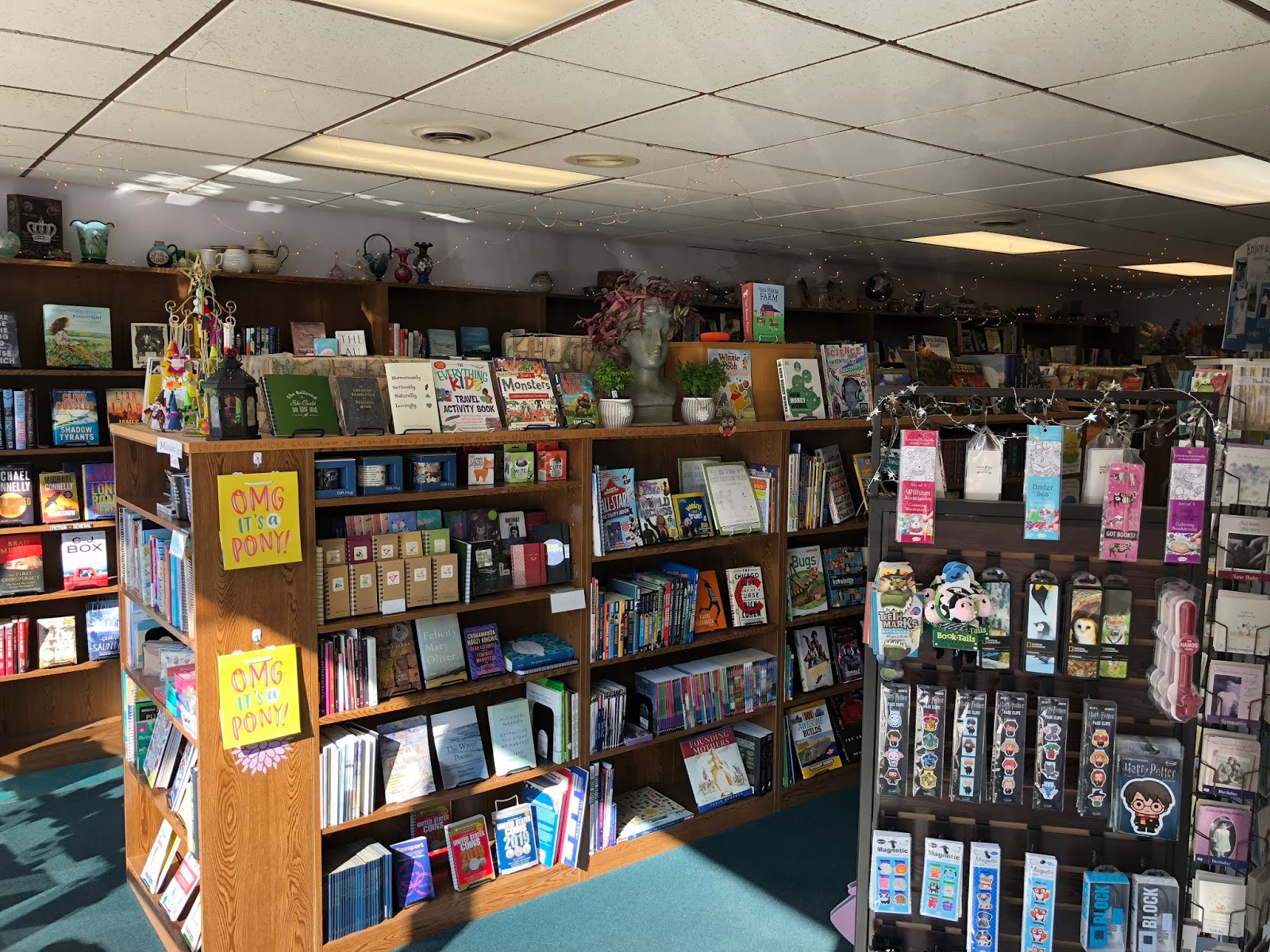 The Indie Bob Spot Book Heads Book Store Plymouth, WI