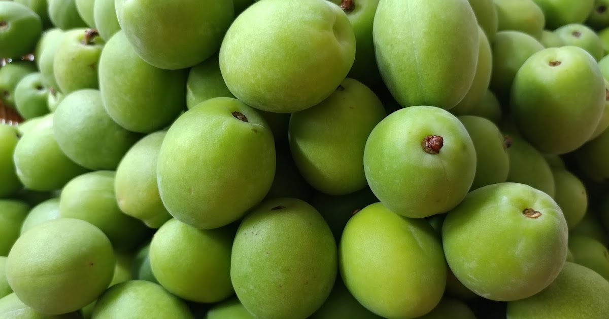 Kimchi House Chinese Plums/梅子/매실