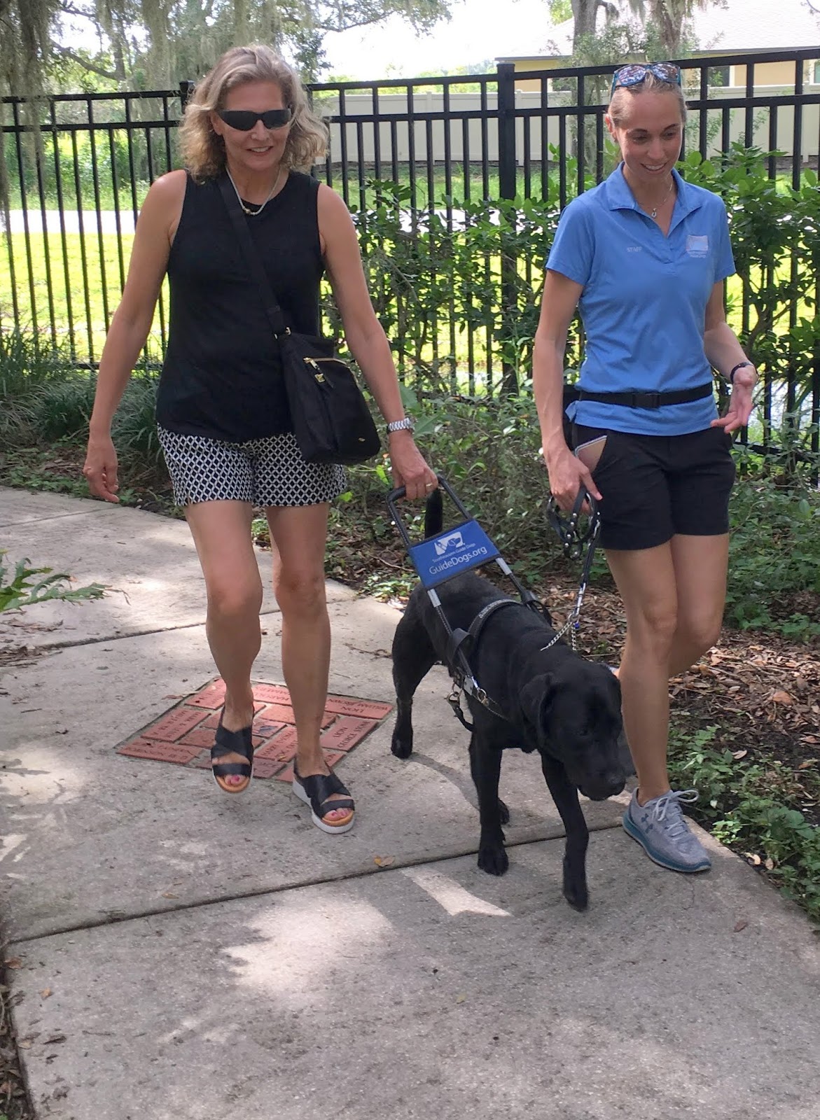 Canine Caper Blindfold Walk with a Guide Dog