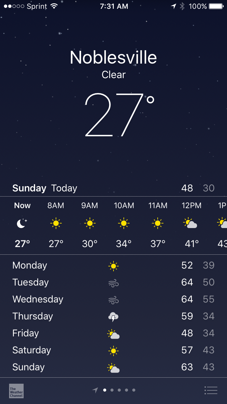 First Day of Spring Update Patriot and Japanese Forest Grass [Backyard