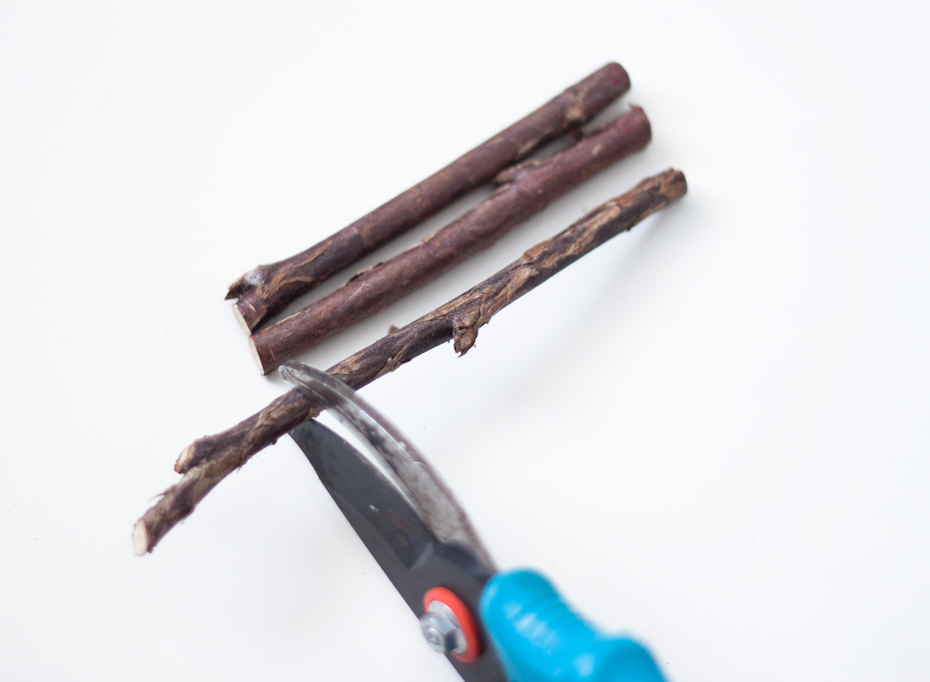 искусственные ветки деревьев. срезанные ветки берёзы. наблюдение за веточкой тополя. срезанная ветка. поставь срезанные веточки.