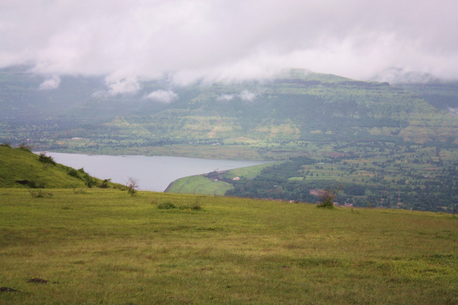 Simz Corner Valley of Flowers, Pune Warriors and Aamby Valley City!