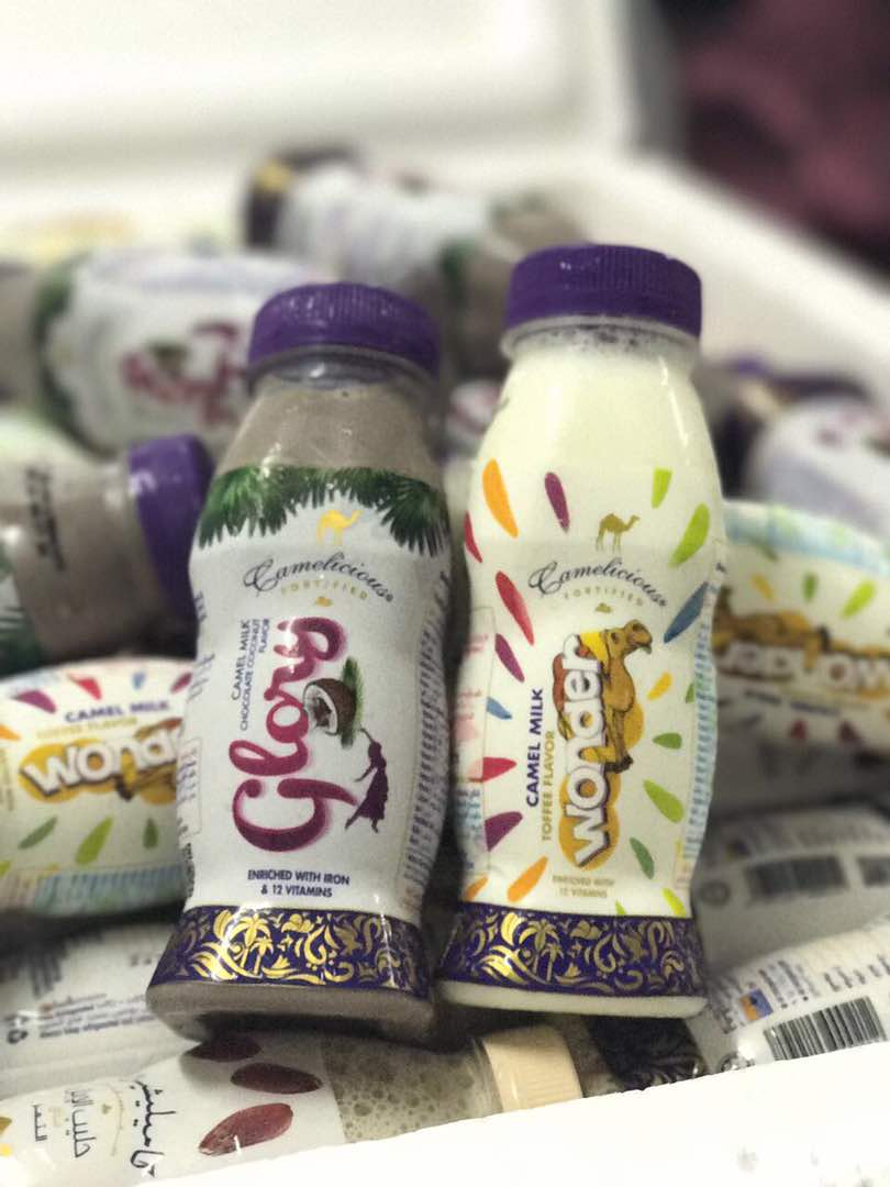 Camelicious Brunei 2017