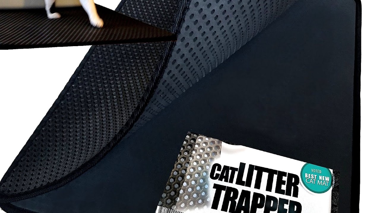 New Cat Litter Commercial Cat Choices