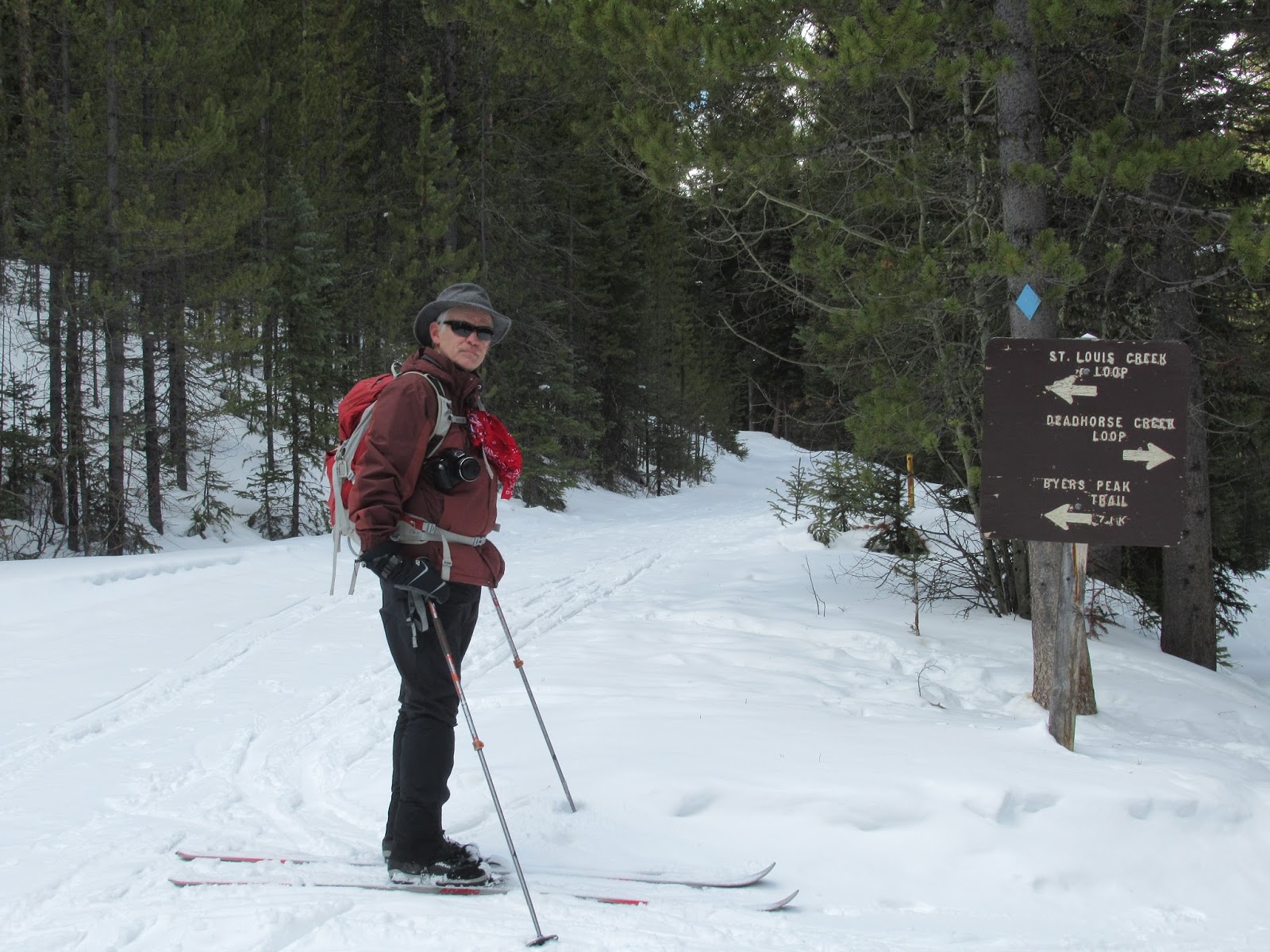 Half and Half Adventures Fraser Experimental Forest Crosscountry