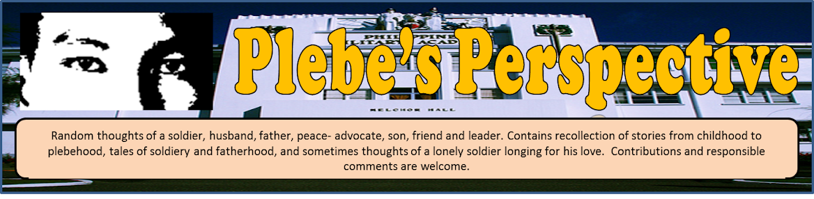                                                 Plebe's Perspective