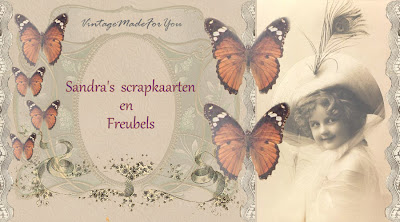 Sandra's scrapkaarten & Freubels
