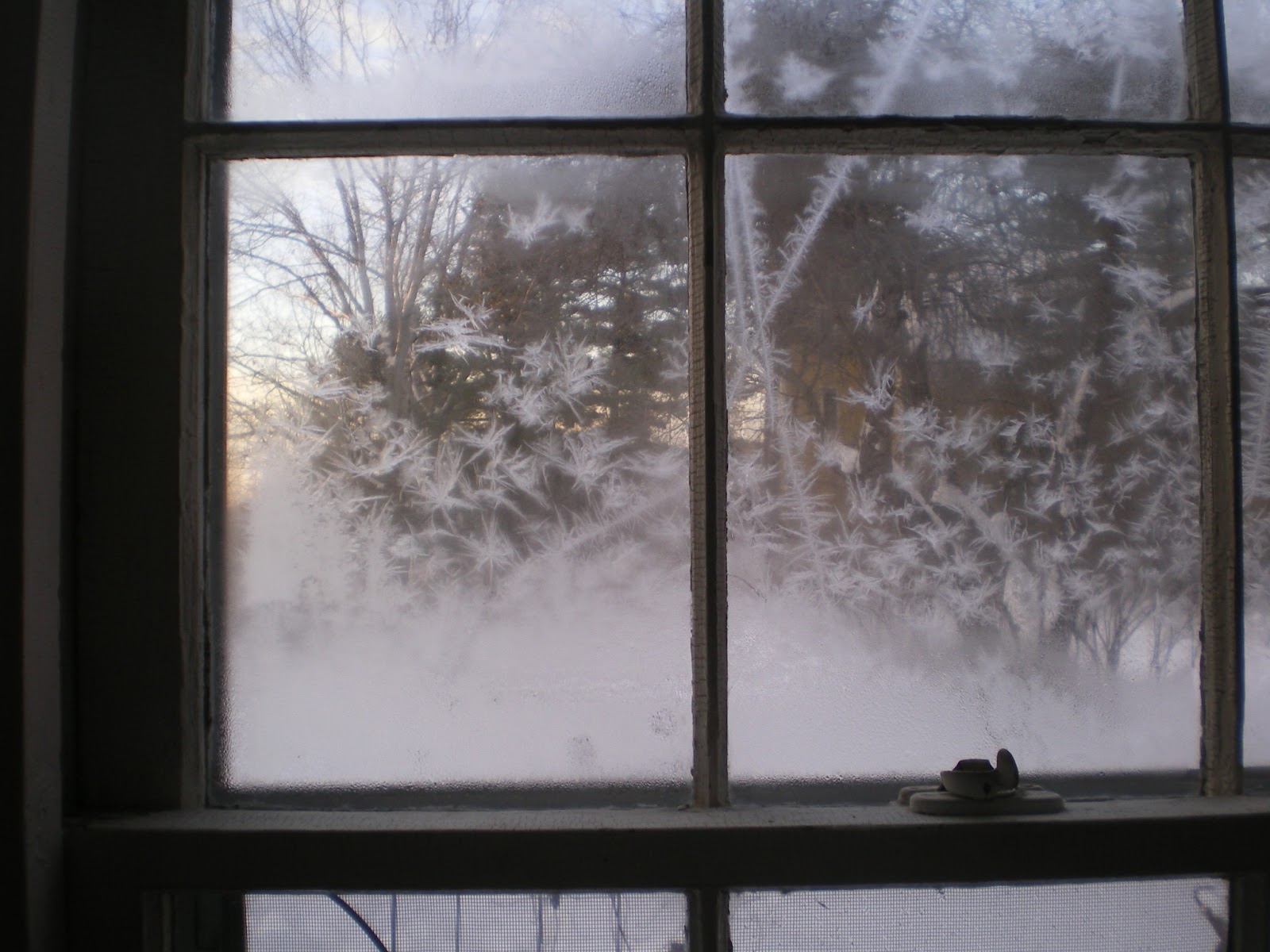 one thing beautiful icy crystal window