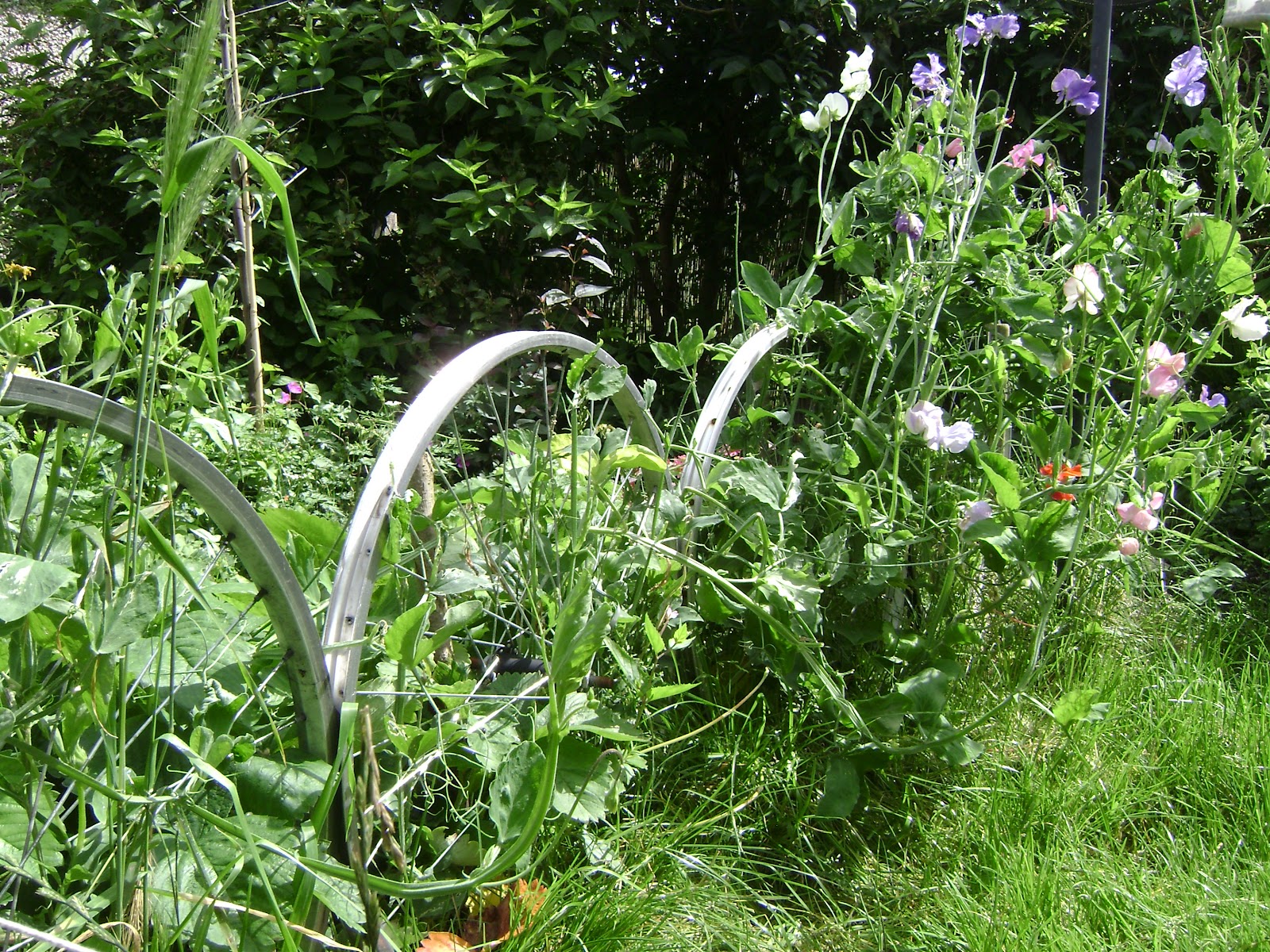 Bikes Etc Bike wheel fence update....