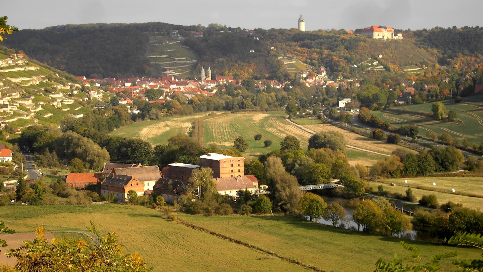 Bechstein Forstinsectologie Oder Naturgeschichte Der Fur Den Wald