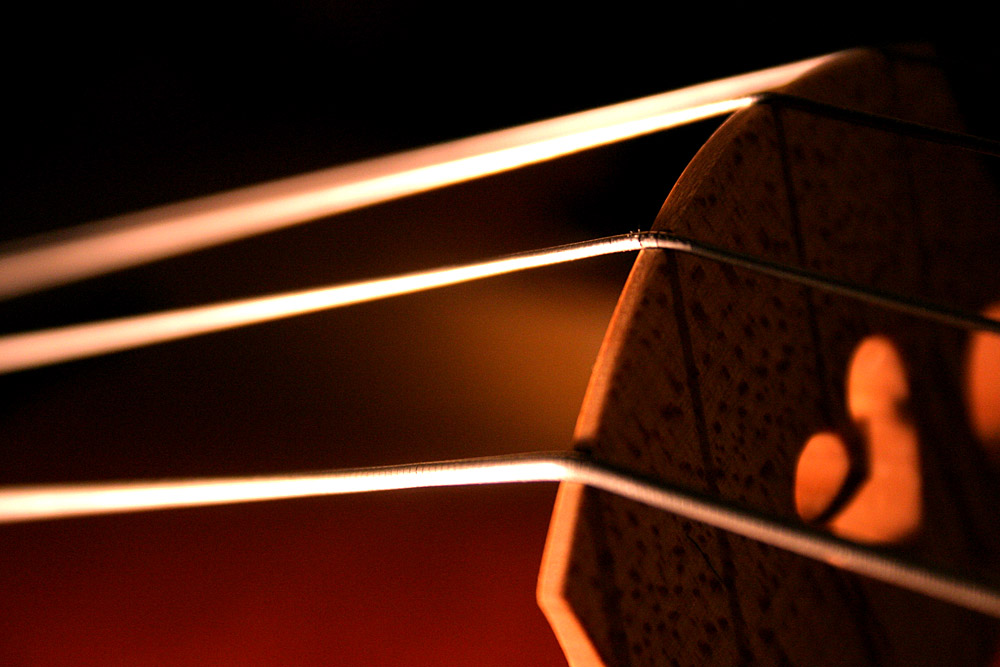 what next cello strings, harmonics & spectograms