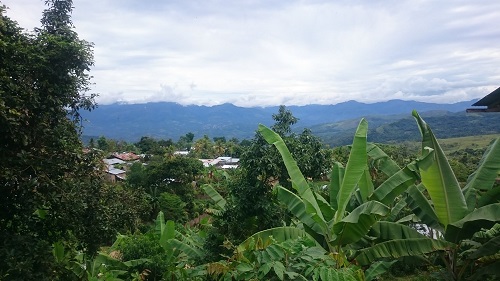 Pamashto