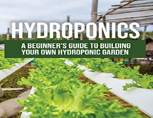Hydroponic Plants | Garden at Home