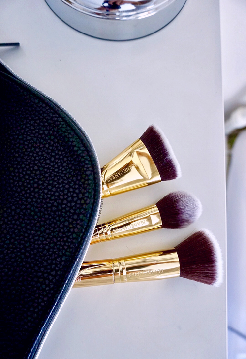 Blank Canvas Cosmetics Brushes As Told by Tamara