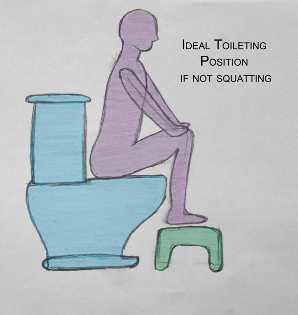 Pelvic Health and Alignment : Constipation: More than just ...