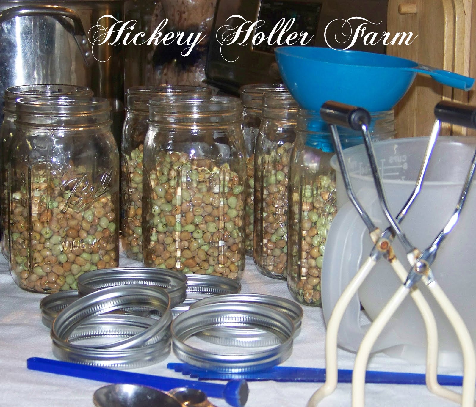 Hickery Holler Farm Canning Field Peas