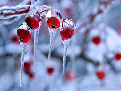 frozen christmas mac hd wallpapers laptop desktop