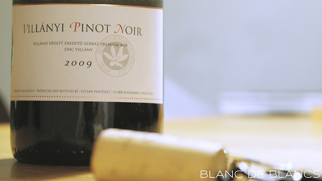Vylyan Pinot Noir 2009 - www.blancdeblancs.fi