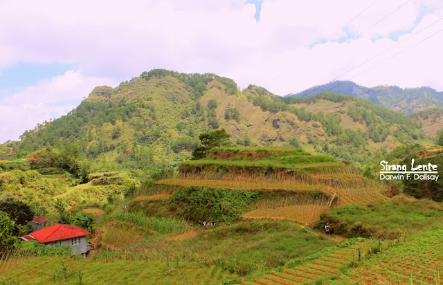 Benguet Rice Terraces