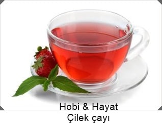 Çilek Çayı Alternatif Tıp