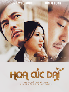 Hoa Cúc Dại - Daisy Hoa Cúc Dại