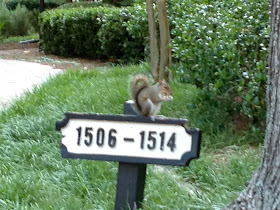 Hold still, dammit!