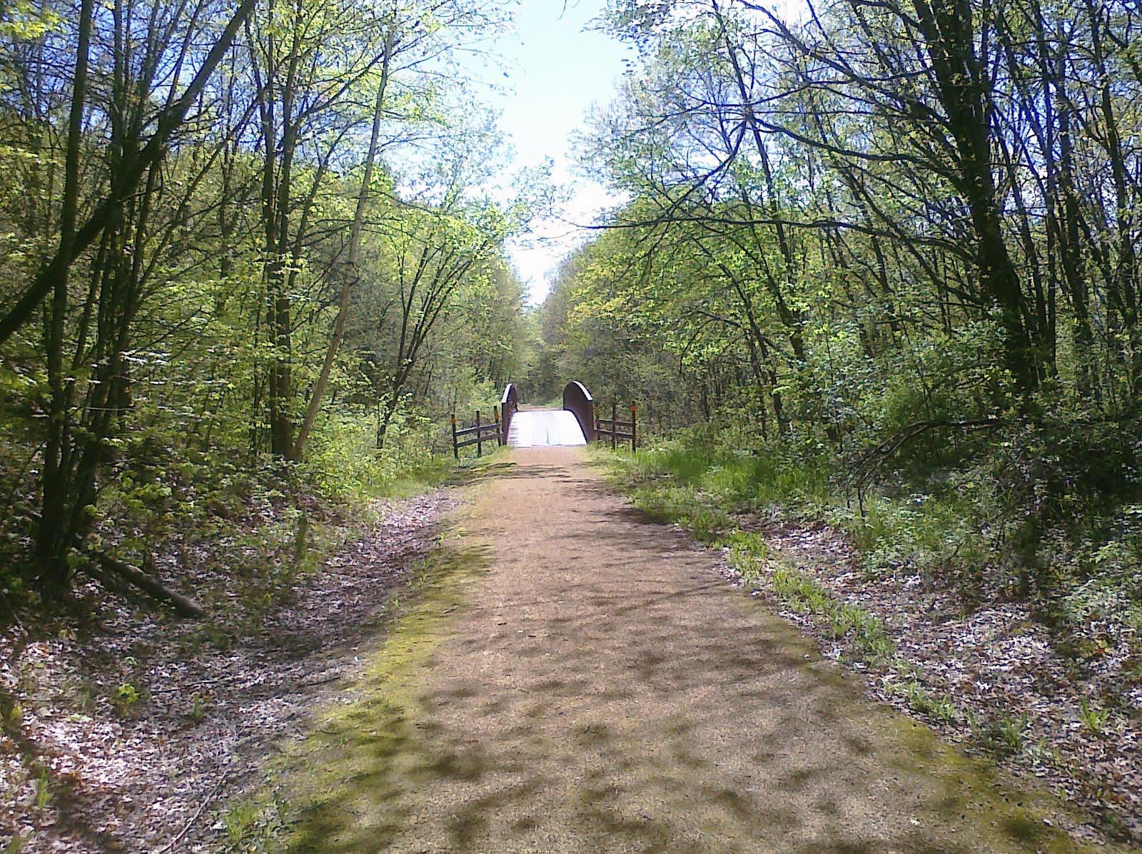 Rogue Life Gandy Dancer trail St. Croix Falls, WI