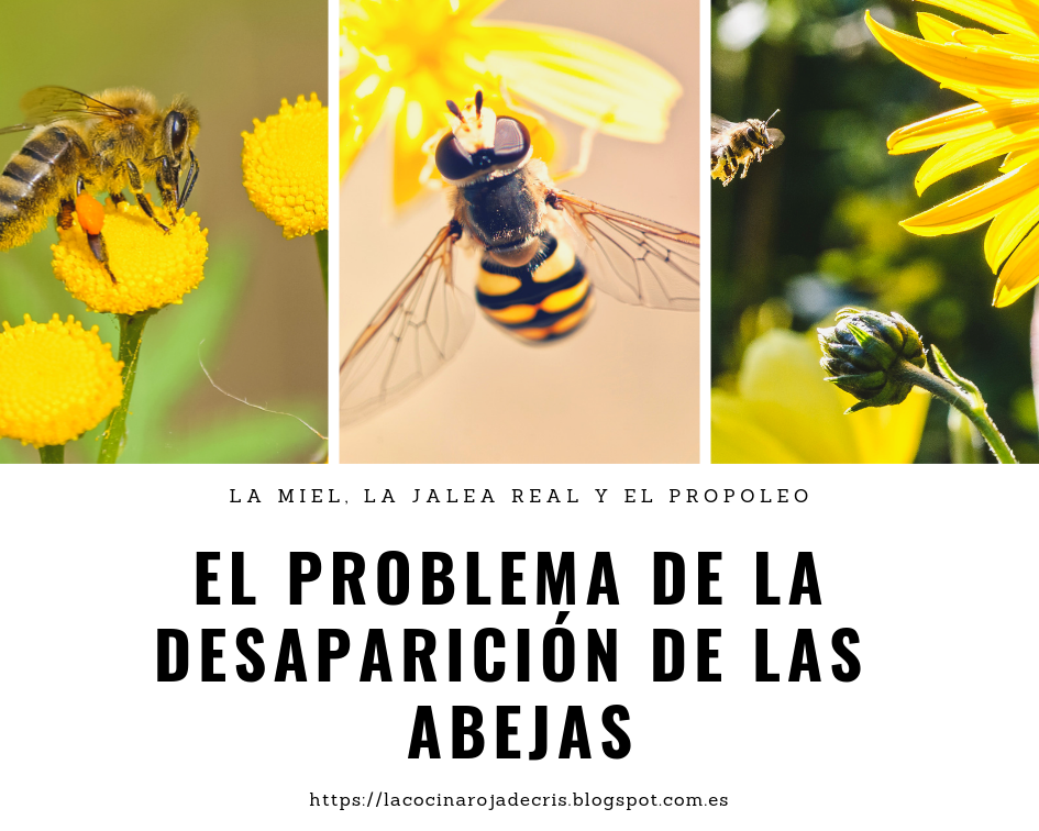 donde comprar jalea real pura en argentina